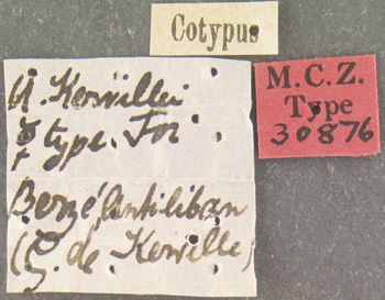 Media type: image; Entomology 30876   Aspect: labels